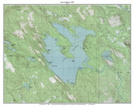 Lake Cathance 1987 - Custom USGS Old Topo Map - Maine - Cooper-Northfield 4
