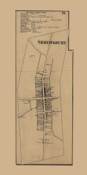 Shrewsbury Village, Pennsylvania 1860 Old Town Map Custom Print - York Co.