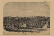 View of Central Nurseries, Pennsylvania 1860 Old Town Map Custom Print - York Co.