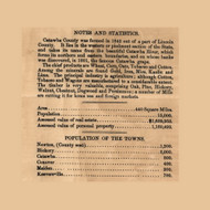 County History and Statistics, North Carolina 1886 Old Town Map Custom Print - Catawba Co