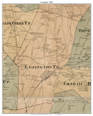 Lexington Township, North Carolina 1890 Old Town Map Custom Print - Davidson Co