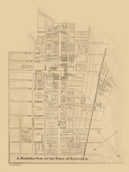 Lexington Village, North Carolina 1890 Old Town Map Custom Print - Davidson Co
