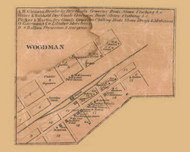 Woodman Village, Wisconsin 1868 Old Town Map Custom Print - Grant Co.