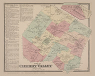Cherry Valley #10, New York 1868 Old Map Reprint - Otsego Co.