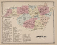 Morris #29, New York 1868 Old Map Reprint - Otsego Co.