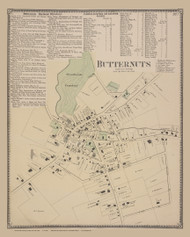 Butternuts Village #37, New York 1868 Old Map Reprint - Otsego Co.