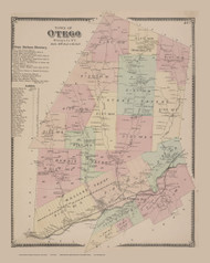 Otego #40, New York 1868 Old Map Reprint - Otsego Co.