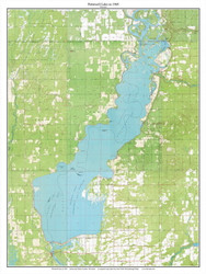 Patenwell Lake 1969 - Custom USGS Old Topo Map - Wisconsin 1