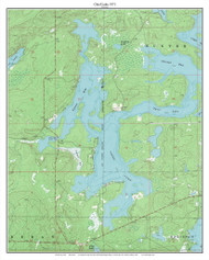 Chief Lake 1971 - Custom USGS Old Topo Map - Wisconsin 6