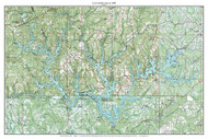 Lewis Smith Lake - 100k 1980 - Custom USGS Old Topo Map - Alabama