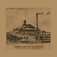 Gang Mill, Oshkosh, Wisconsin 1862 Old Town Map Custom Print - Winnebago Co.