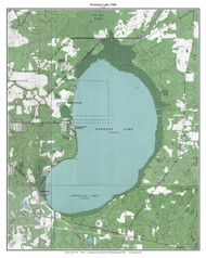 Newnans Lake 1966 - Custom USGS Old Topo Map - Florida