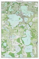Windermere Lakes 1953 - Custom USGS Old Topo Map - Florida