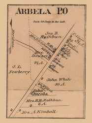 Arbela Village, Michigan 1875 Old Town Map Custom Print - Tuscola Co