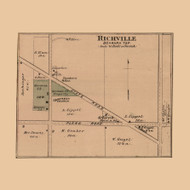 Richville, Denmark, Michigan 1875 Old Town Map Custom Print - Tuscola Co