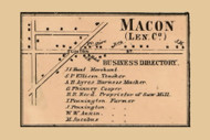Macon Village, Michigan 1864 Old Town Map Custom Print - Lenawee Co