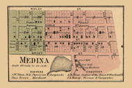 Medina Village, Michigan 1864 Old Town Map Custom Print - Lenawee Co