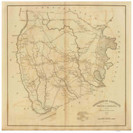 Darlington District, 1825 South Carolina - Old Map Reprint - Mills Atlas RSY