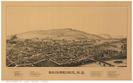 Bainbridge, New York 1889 Bird's Eye View - Old Map Reprint