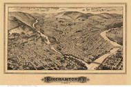 Binghamton, New York 1882 Bird's Eye View - Old Map Reprint