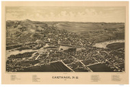 Carthage, New York 1888 Bird's Eye View - Old Map Reprint