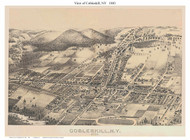 Cobleskill, New York 1883 Bird's Eye View - Old Map Reprint