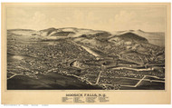 Hoosick Falls, New York 1889 Bird's Eye View - Old Map Reprint