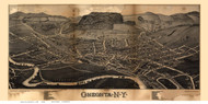 Oneonta, New York 1884 Bird's Eye View - Old Map Reprint