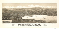 Skaneateles, New York 1884 Bird's Eye View - Old Map Reprint