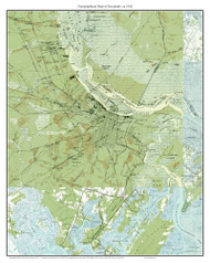 Savannah 1942 - Custom USGS Old Topo Map - Georgia