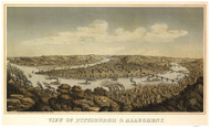 Pittsburgh, Pennsylvania 1874 Bird's Eye View - Old Map Reprint