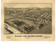 Wilson and Mendelssohn, Pennsylvania 1902 Bird's Eye View - Old Map Reprint