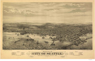 Seattle, Washington 1878 Bird's Eye View