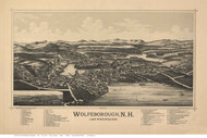 Wolfeborough, New Hampshire 1889 Bird's Eye View - Old Map Reprint