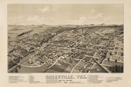 Greenville, Texas 1886 Bird's Eye View