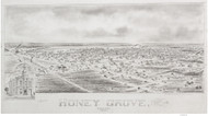 Honey Grove, Texas 1891 Bird's Eye View