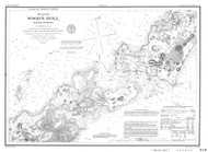 Woods Hole 1882 A Old Map Nautical Chart AC Harbors 2 348 - Massachusetts
