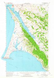 Point Reyes, California 1954 (1965) USGS Old Topo Map 15x15 Quad
