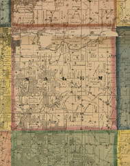 Salem, Illinois 1869 Old Town Map Custom Print - Carroll Co.