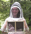 2022 Package Bees "Early Italians": 3 lbs. w/ Italian Queen