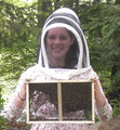 2022 Package Bees: 3 lbs. w/ Carniolan Queen