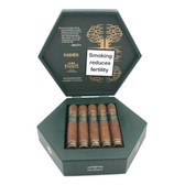 Plasencia  - Alma Fuerte - Sixto I - Box of 10 Cigars