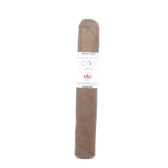 Joya De Nicaragua - Silver- Robusto - Single Cigar