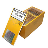 Regius - Connecticut - Grandido - Box of 25 Cigars