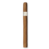 Davidoff - Signature - Ambassadrice - Single Cigar