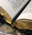 Signature Edition Bible Spring Belt