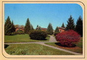 Holy Family Hermitage Postcard (5 for $1)
