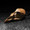 Quail Skull, bronze
