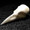 Crow skull, marble
