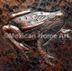 Copper Tile Frog Motif